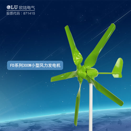 FD系列300W小型風(fēng)力發(fā)電機(jī)