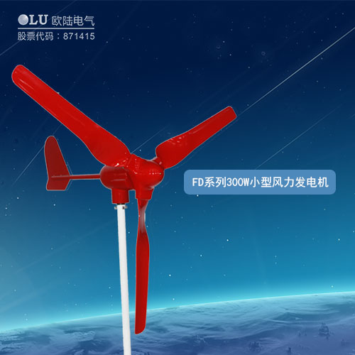 FD系列300W小型風(fēng)力發(fā)電機(jī)