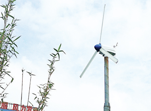 南京歐陸電氣風力發電機經受住了臺風的“考試”